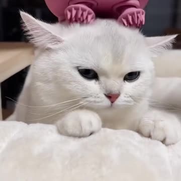 Relax time,,goodnite