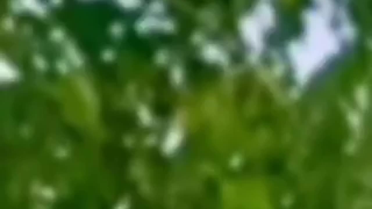 Tum chenkh kr Kano par hath rakh lo gi