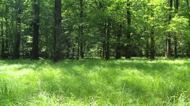 Best Chill and Calm Music #12