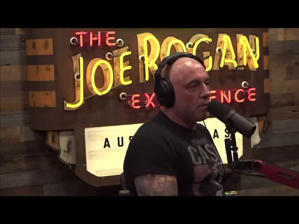 Joe Rogan - Posthuman