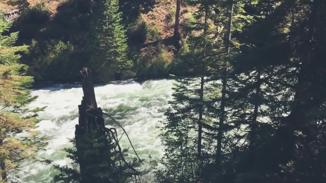 Stream Rapids River Cascade Flow Wilderness Wild