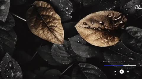 Hindi song melody