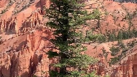 Bryce Point, one of the most breathtaking viewpoints in Bryce Canyon National Park, Utah! 🌄✨