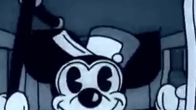 When Cute and Funny Cat is a train driver.