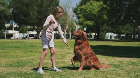 Girl Playing with a Dog