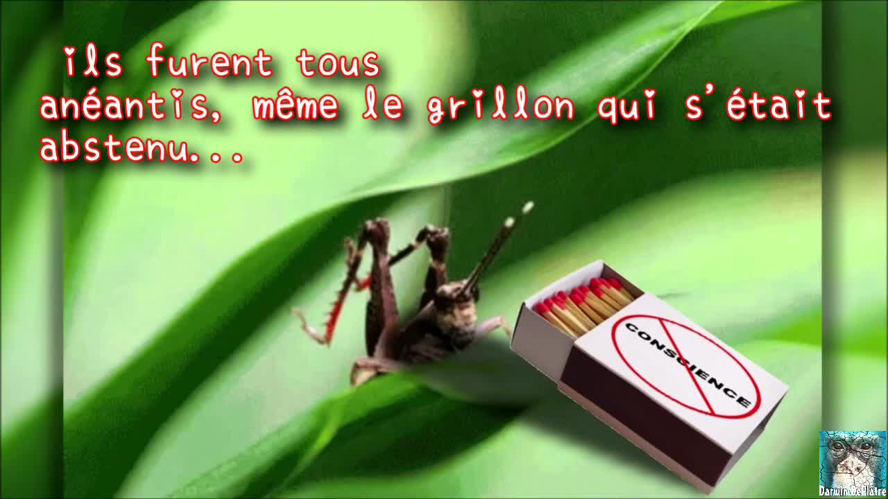 La Fable du Grillon 🦗 The Fable of the Cricket