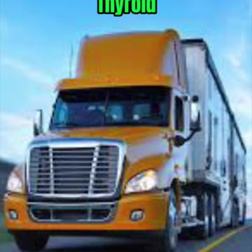 Estrogens and Your Thyroid