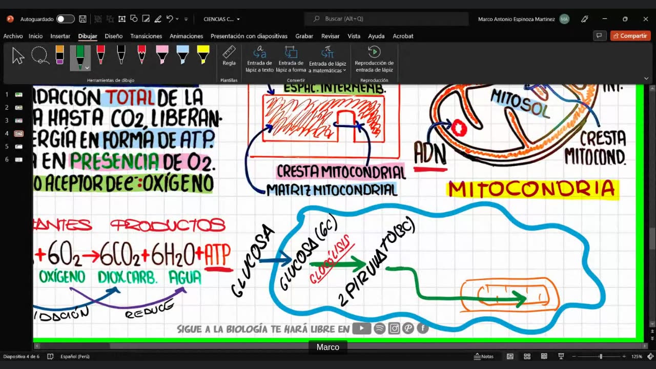 CIENCIAS DESDE CERO LBTHL 2022 | Semana 04 | BIOLOGÍA S2