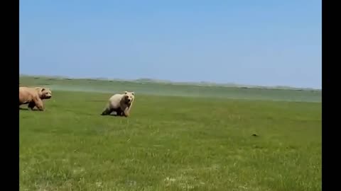 oops oops! stay calm !