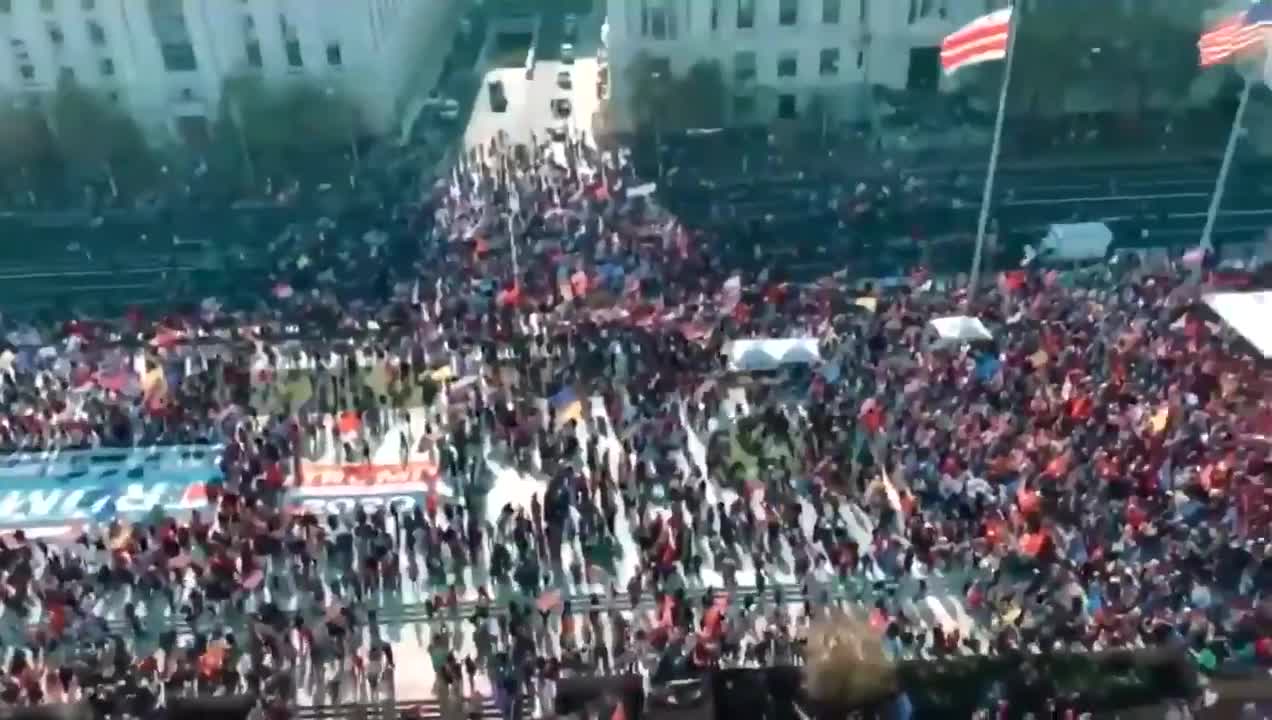 Million Maga March Music Clip 01 (2020/11/15)