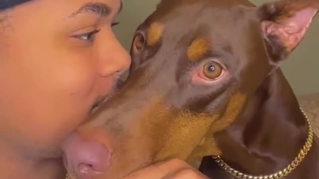 funny|prank|jokes|funny jokes|dad jokes|funny memes|funny video|fun|laughing|funny animal|knock