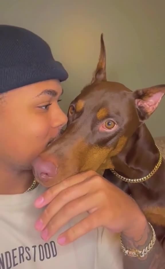 funny|prank|jokes|funny jokes|dad jokes|funny memes|funny video|fun|laughing|funny animal|knock