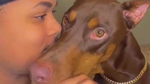 funny|prank|jokes|funny jokes|dad jokes|funny memes|funny video|fun|laughing|funny animal|knock