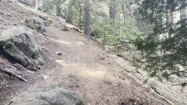 Last Switchback in Forest Before Long Alpine Section – Black Butte Trail – Central Oregon – 4K