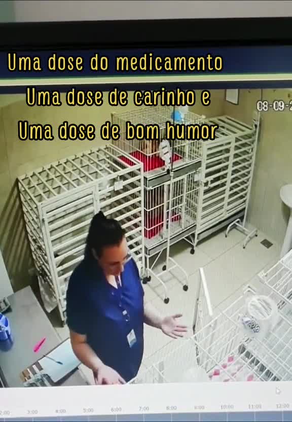 Mujer veterinaria baila a sus perros