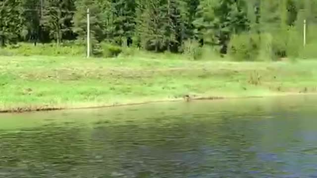 River rafting in the Komi Republic