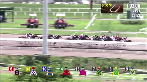 Horse_Race_2022052901_Chinese