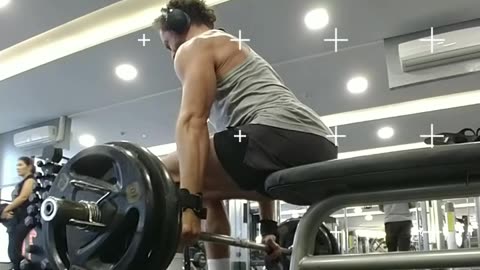 Shoulders