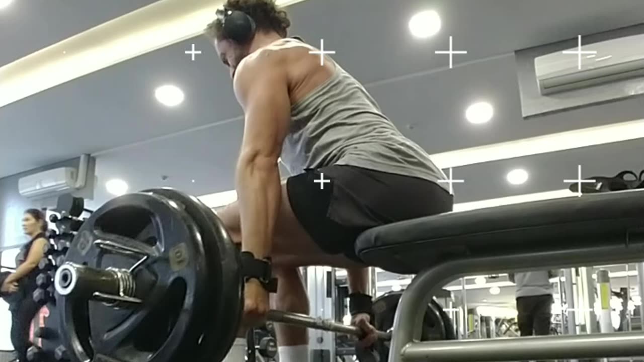 Shoulders