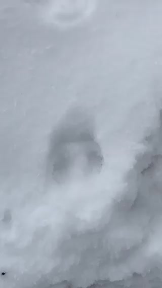 Hip hop hip hop.... then up!