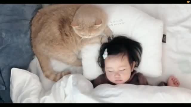 There is his little Human Sister. With cute cat.Loving Family.