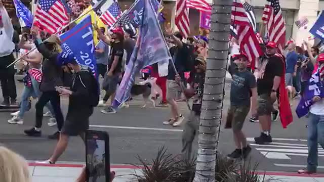 Beverly Hills California. Red Wave
