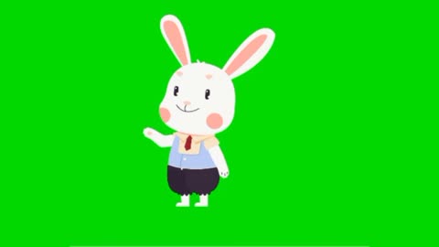 Rabbit hello green screen video