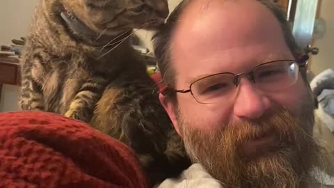 Kitty licks head