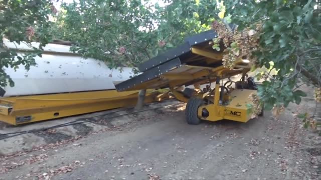 Learn Pistachio harvest machine