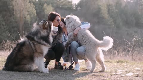 Dog Love