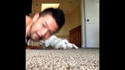 Athletic dog push ups with owner