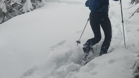 Snowshoeing Lolo Pass