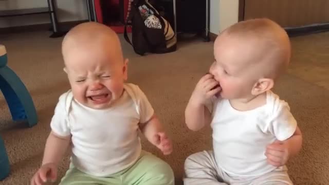 Two beautiful babies fighting over the cute, beautiful pacifier