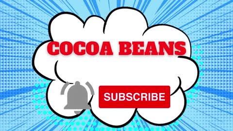 Cocoa Beans