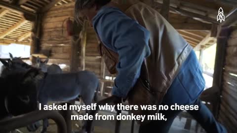 The World's Priciest Cheese Is Made from Donkey Milk