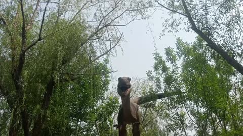 This dinosaur is standing tall