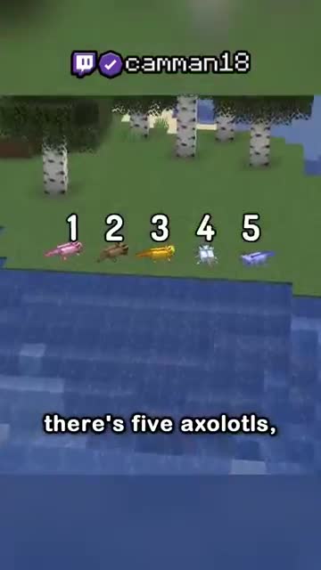 "What's the Most Secret Mob in Minecraft 1.17 (new)"