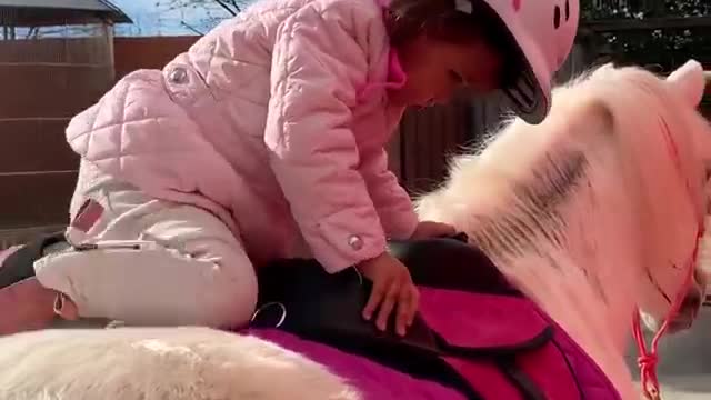 The cutest little toddler horse rider and her pony