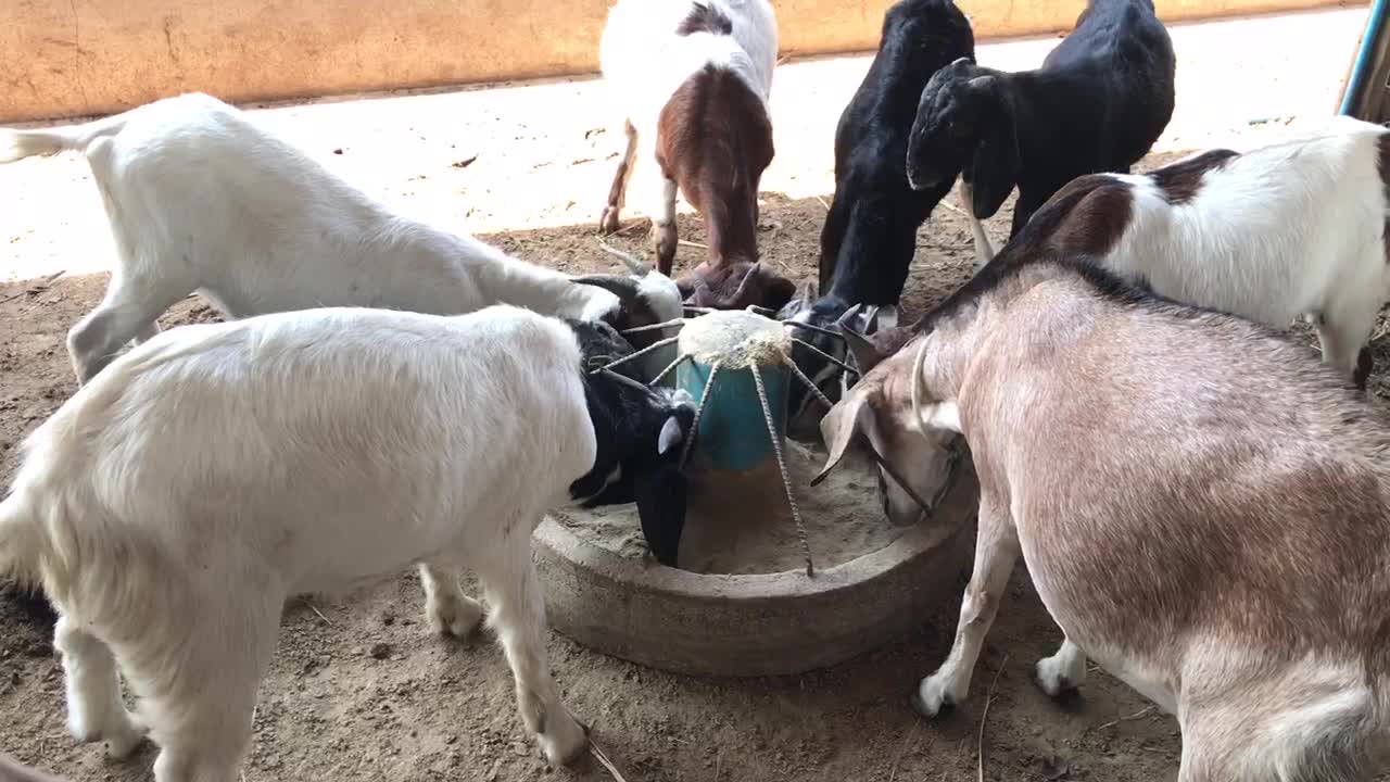 Families coats take eating food