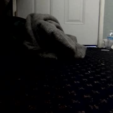 saut numéro un 🧡💛💚🚭