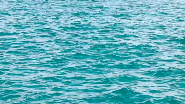 Lake Michigan with Beethoven.