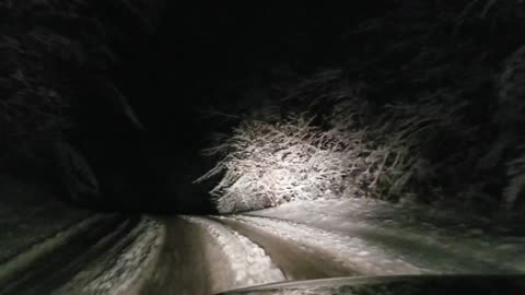 Snow Nighttime.