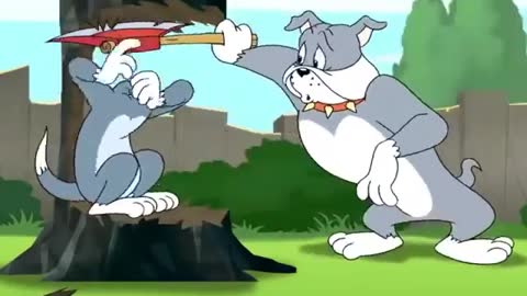 Tom and Jerry New Cartoons Compilation