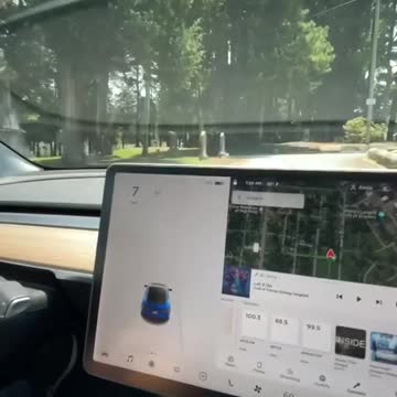 Tesla caught ghost in cemetry
