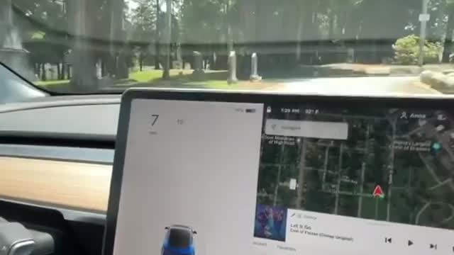 Tesla caught ghost in cemetry