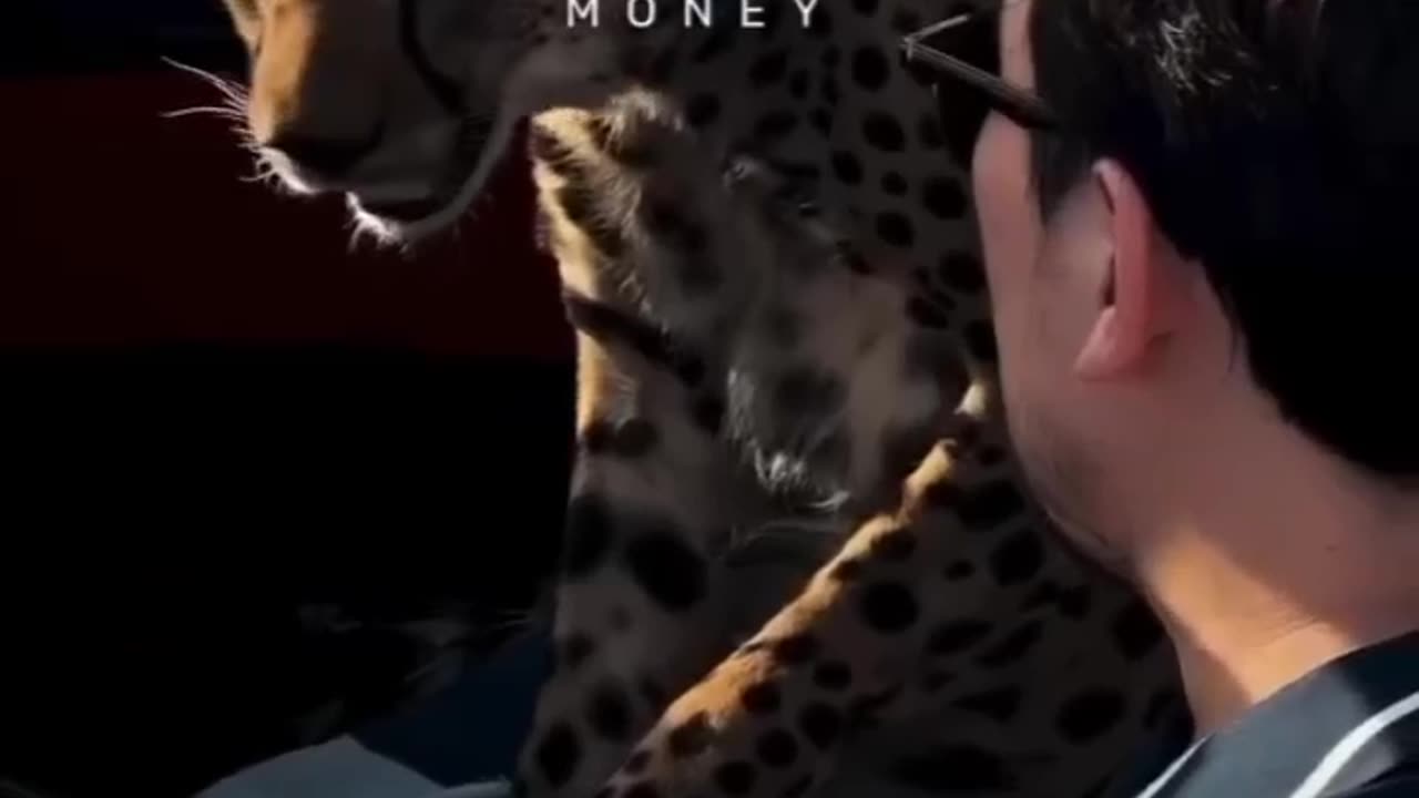 Money