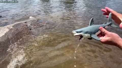 Sea Animal Toys This Summer at the Shore