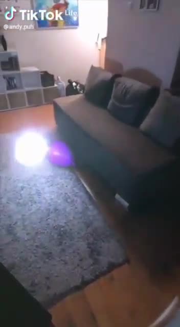 Plasma Ball Phenomena