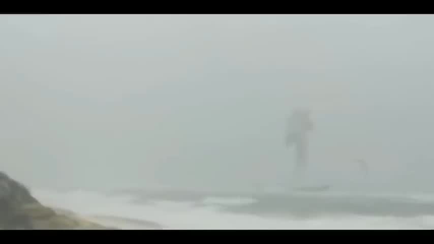 Real Serpent Caught in Camera
