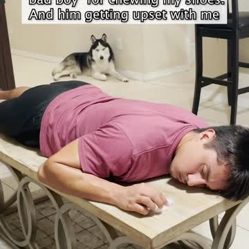 compilation | baby animals 79 | cute animals 79 | kids #shorts